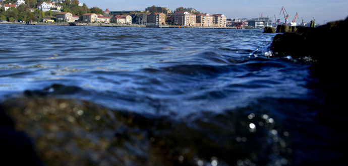 En forskargrupp vid Högskolan i Skövde har kommit fram till att Göts älvs vattensystem är utsatt för ”oroväckande miljöpåverkan”. Foto: Adam Ihse/TT.
