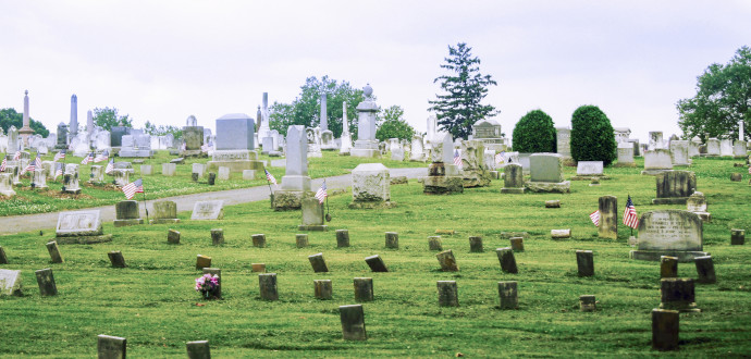 Hur många har dött, frågar sig TMI-offren. På kyrkogården i Middletown uppvisar en gran spår av mutationer. Foto: Klas Lundström
